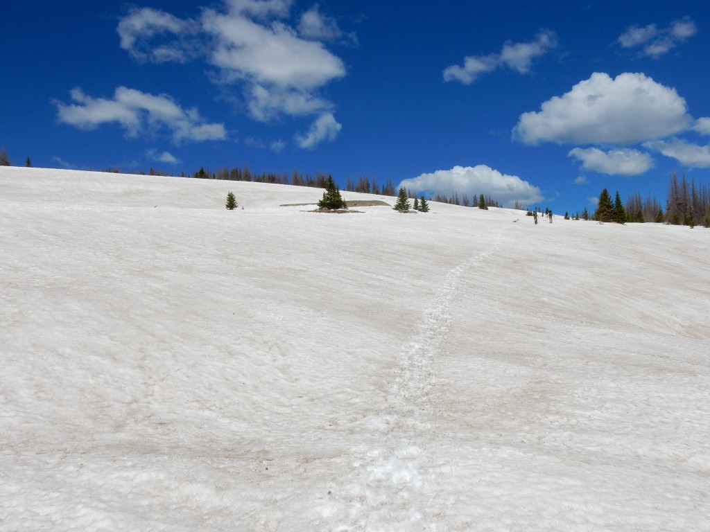 This is terrain where snowshoes helped a lot